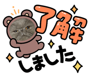 844580062