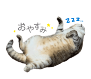 844580289