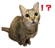 844580296