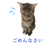 844580298