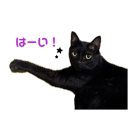 844580304