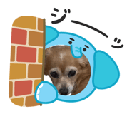 844580507