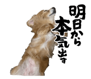 844580508