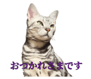 844581182