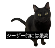 844581193