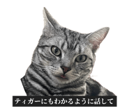 844581198