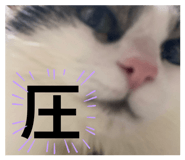 844581266