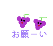 844581355