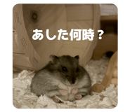 844581666