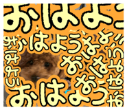 844583114