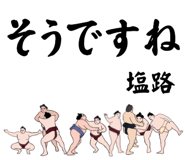 844586262