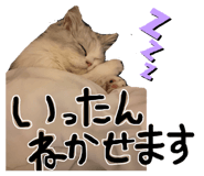 844588330