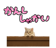 844588331