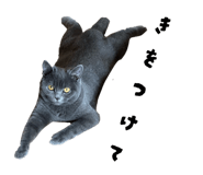 844588510