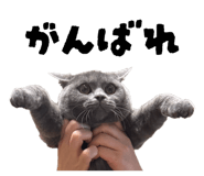 844588511