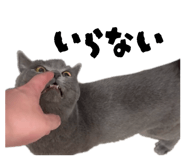 844588525