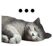 844588528