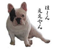 844588745