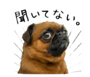 844588813