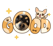 844589207