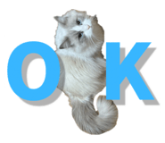 844589315