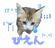 844589327