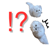 844589340