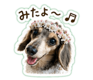 844589804