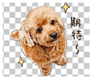844590242