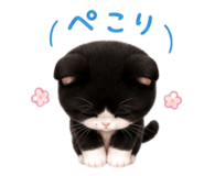 844591120