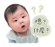 844591204