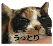 844591626