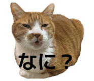 844591629