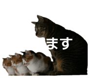 844591632