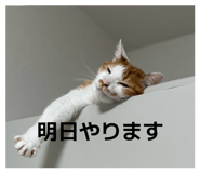 844591633