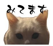 844591785