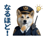 844592397
