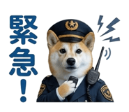 844592404
