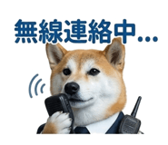 844592406