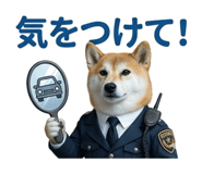 844592408