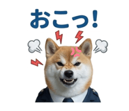 844592409