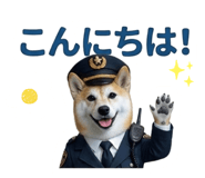 844592411