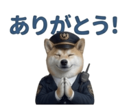 844592413