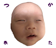 844592430