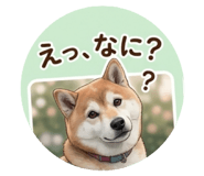 844592435