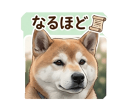 844592436