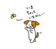 844592555