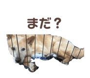 844592639