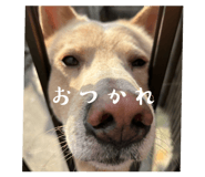 844592644
