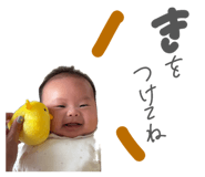 844592668